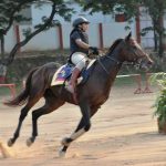 Charu Nigam Horse Riding