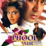 Phool Aur Kaante movie poster