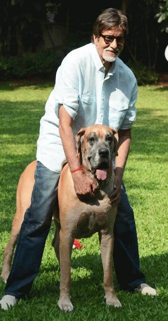 Amitabh Bachchan With His Dog