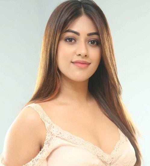 Anu Emmanuel Actress Height Weight Age Boyfriend Biography More