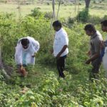 Narayan Sai Conserving the Nature