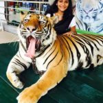 Jui Gadkari with tiger