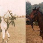Ajay Piramal, a horse lover