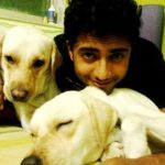 Rehaan Roy loves dogs