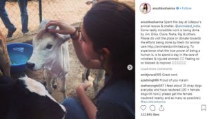 Anushka Sharma takes care of Animals