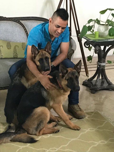 Dhoni with his pets