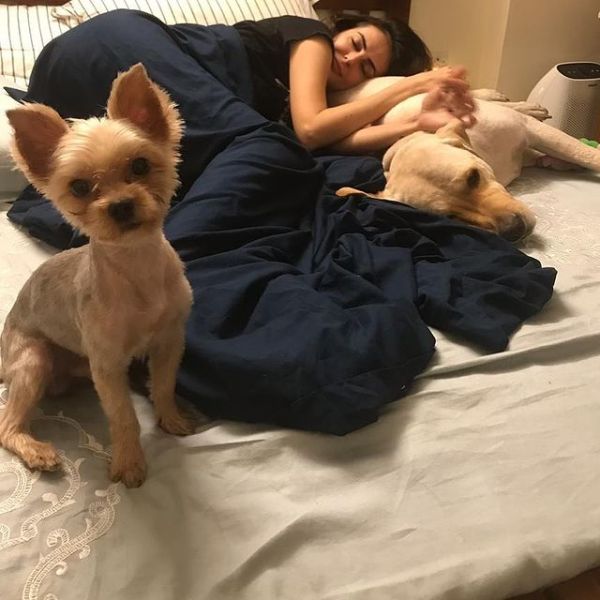 Mandana Karimi with her dogs