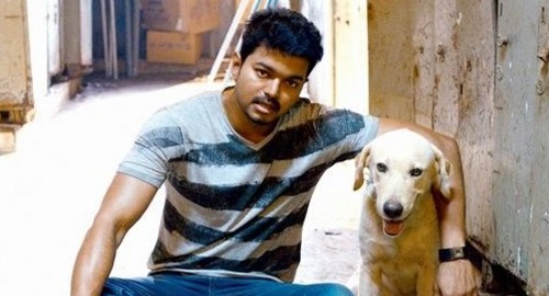 Vijay with a dog