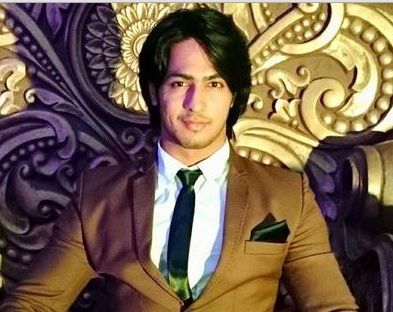 star plus mahabharat dhritarashtra