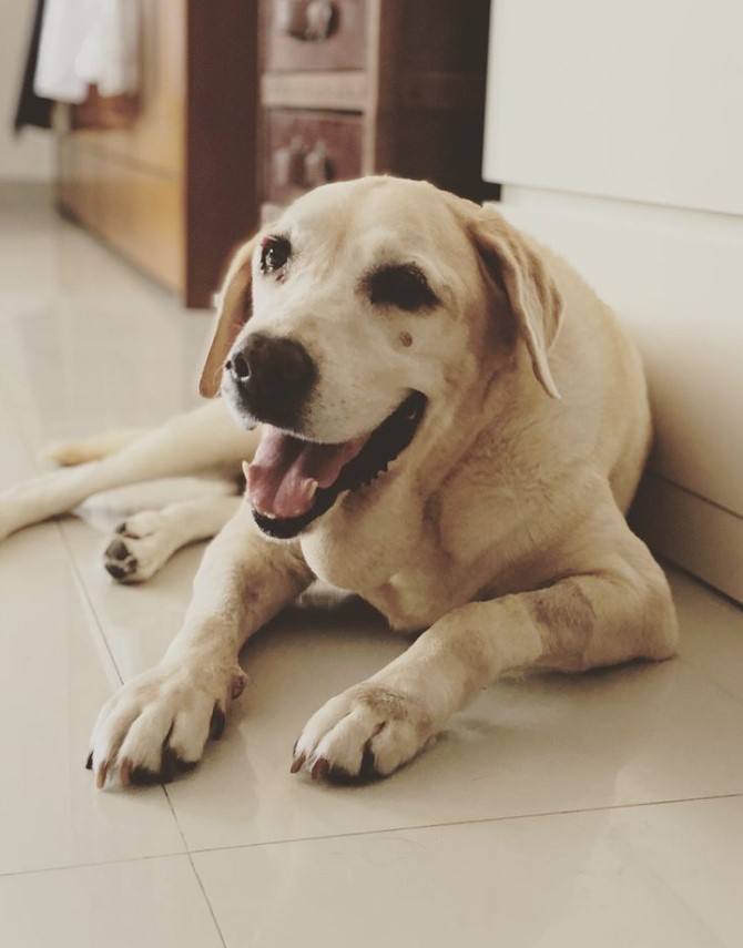 Adhuna Akhtar's pet dog, Bonny