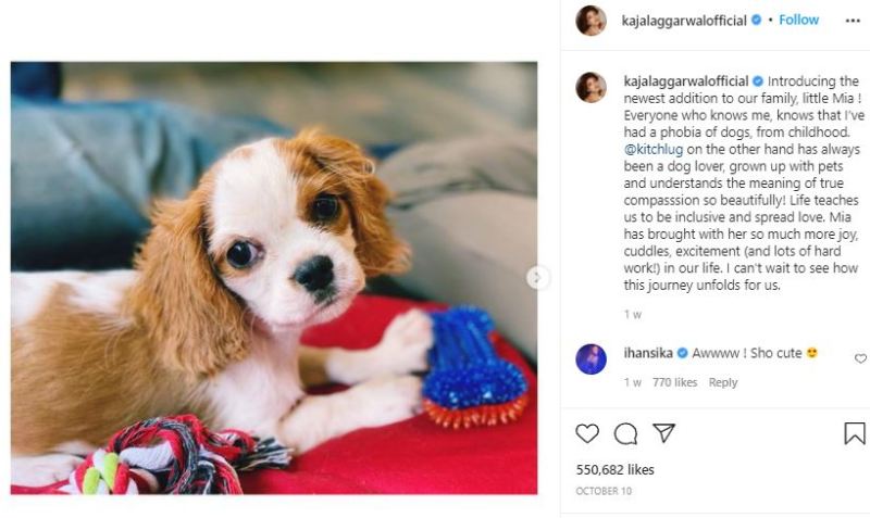 Kajal Aggarwal introducing her puppy, Mia, as her first child on Instagram