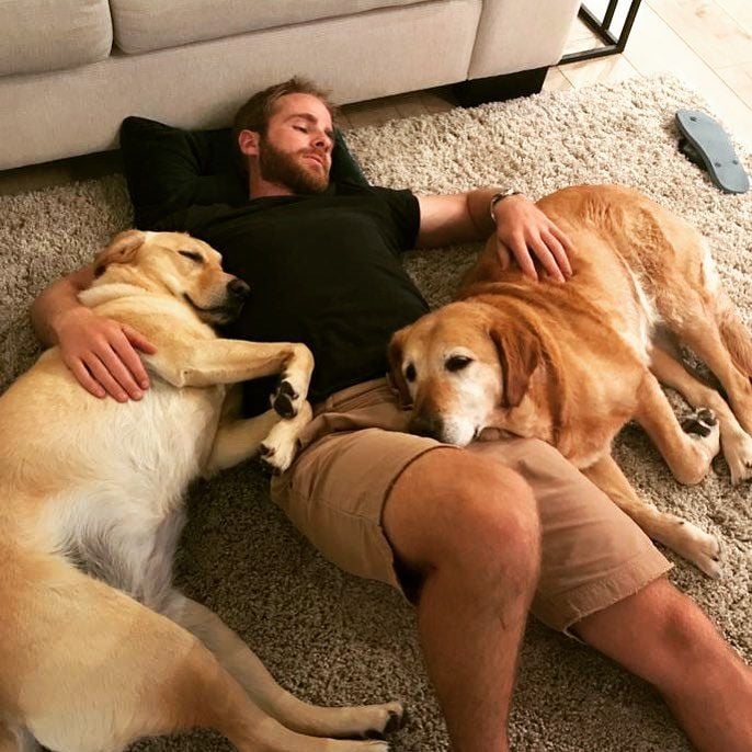 Kane Williamson With His Pet Dogs