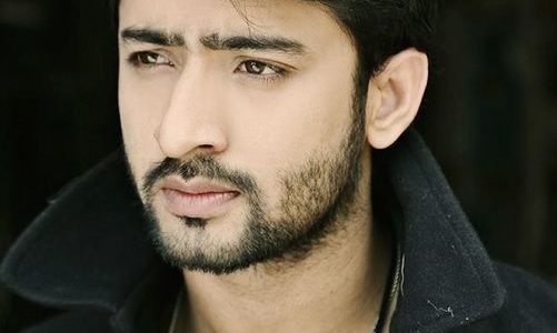 Shaheer Sheikh