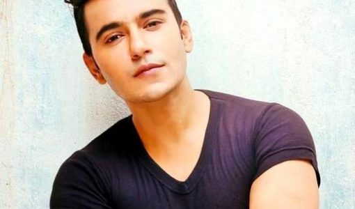 Aditya Singh Rajput