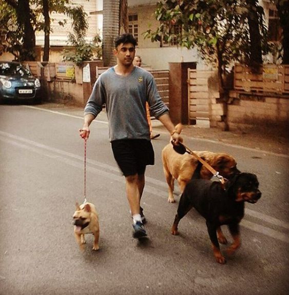 Amit Sadh with his pet dogs