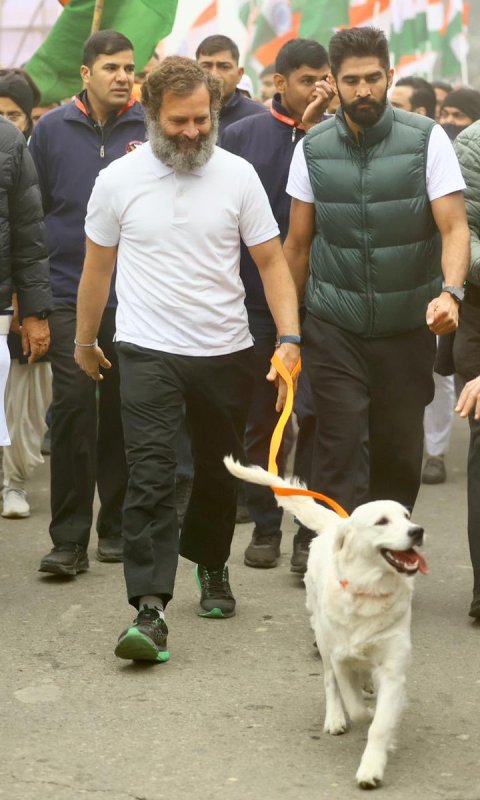 Priyanka Gandhi's dog, Luna, joined Rahul Gandhi's Bharat Jodo Yatra in January 2023