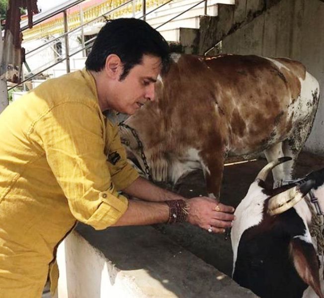 Rahul Roy in a Cow Shelter