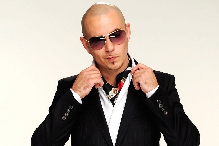 what race is pitbull