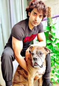 Gurmeet Choudhary loves dogs