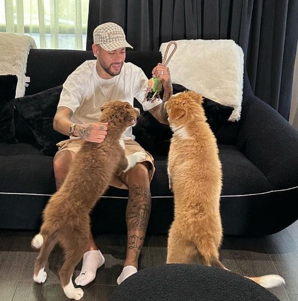 Neymar playing with his dogs