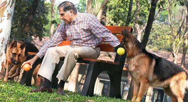 Ratan Tata spending quality time with his pet dogs