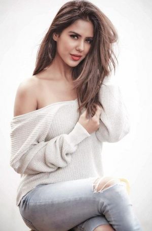 Sonam Bajwa Height, Age, Boyfriend, Husband, Family, Biography