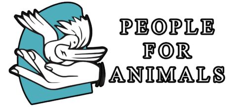 People for Animals (PFA)