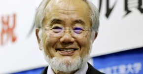 yoshinori-ohsumi