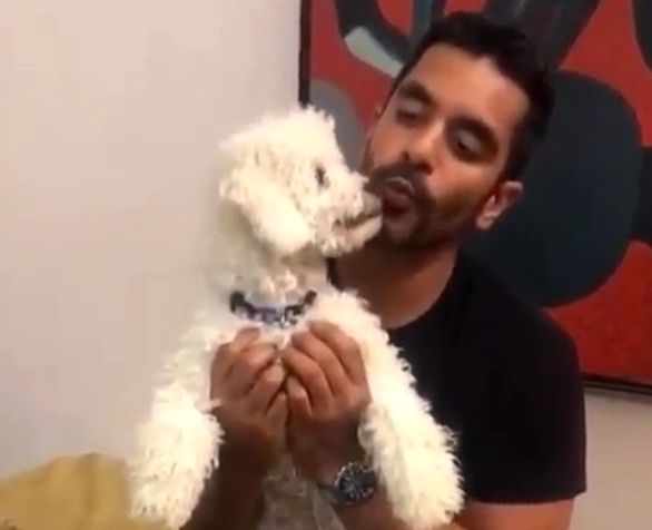Angad Bedi loves dogs