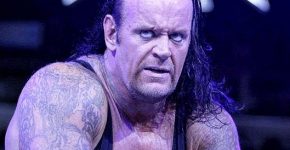 Undertaker Profile