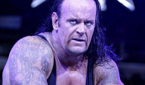 Undertaker Profile