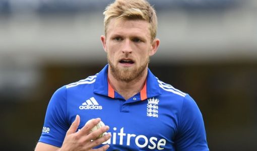 David Willey Profile