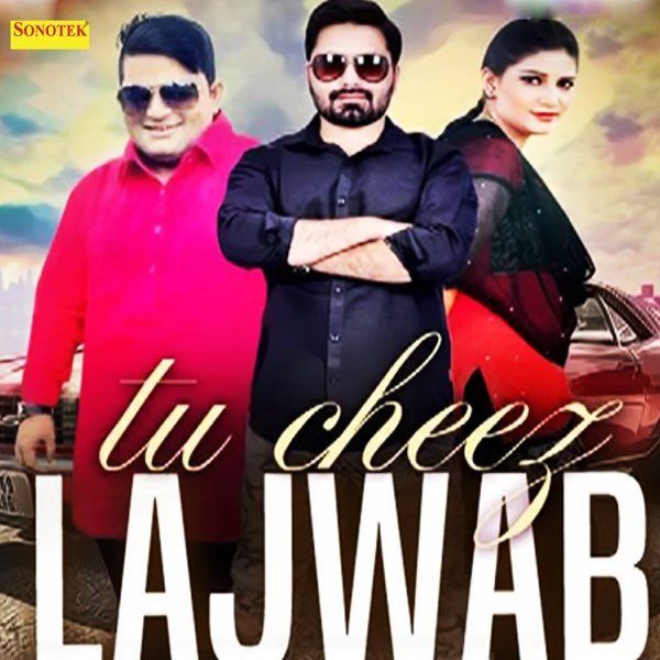 Poster of the music video 'Tu Cheez Lajawab'