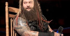 Bray Wyatt profile