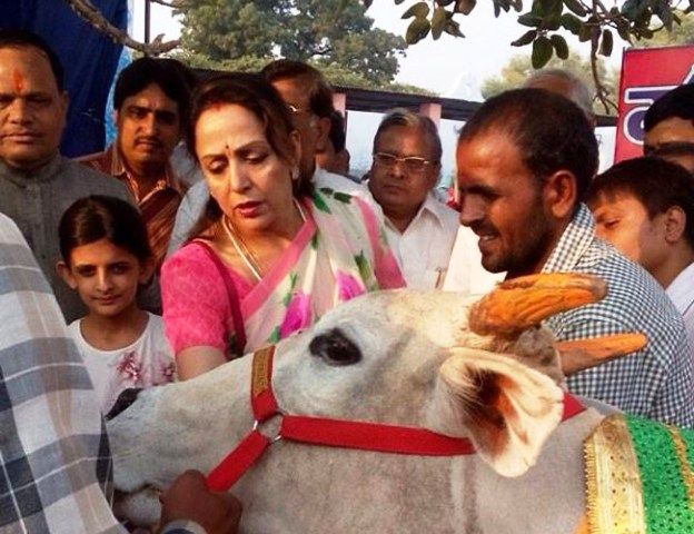 Hema Malini Feeding A Cow