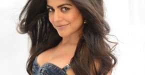 Shenaz Treasury