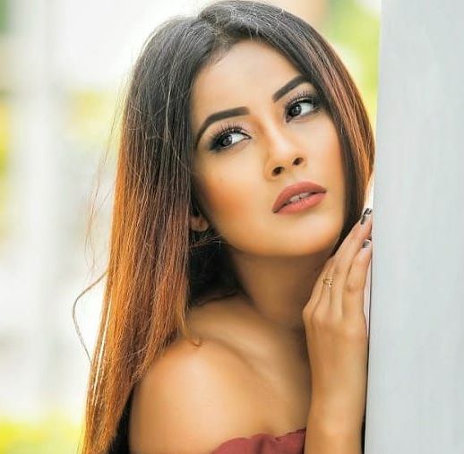 Shehnaz Kaur Gill Age, Family, Boyfriend, Biography & More