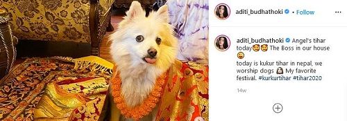 Aditi Budhathoki's pet dog