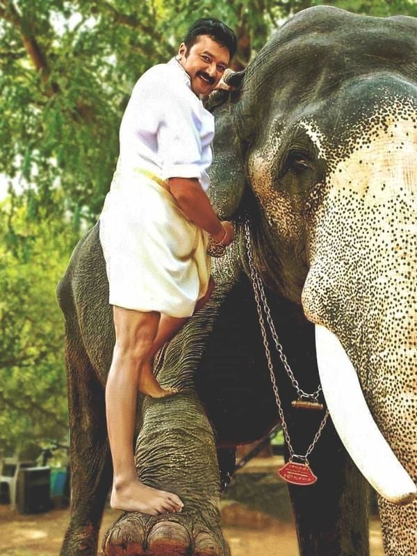 Jayaram posing with an elephant - Image captured on the occassion of Vishu