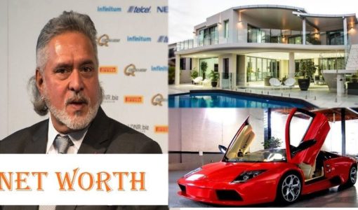 Vijay Mallya Net Worth