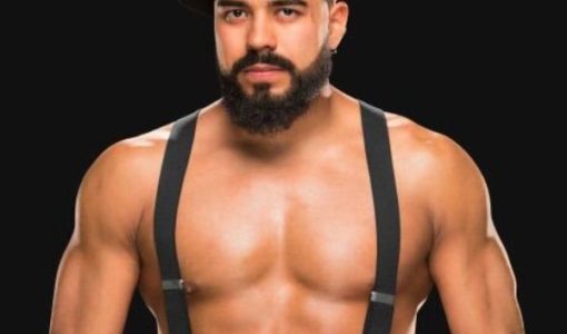 Andrade Cien Almas