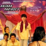 Mohak Meet's first movie Anjaan Parindey's poster