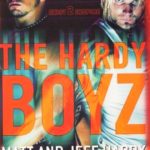 The Hardy Boys Book