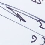 Marouane Fellaini's signature