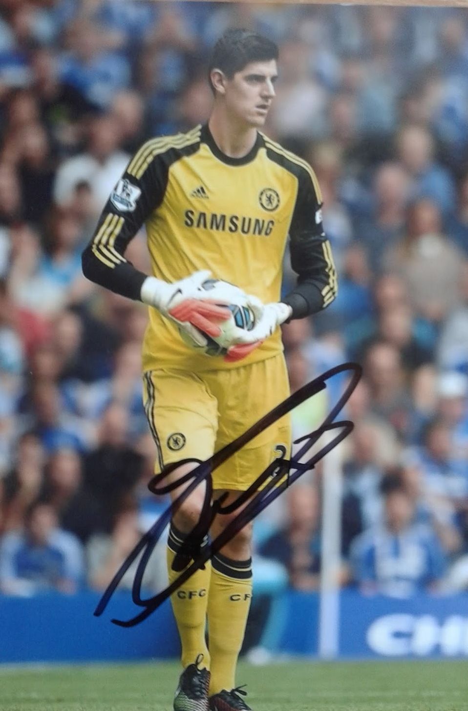 Thibaut Courtois Height, Weight, Age, Biography, Family ...