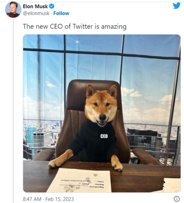 Elon Musk's tweet about his pet dog Floki as the CEO of Twitter