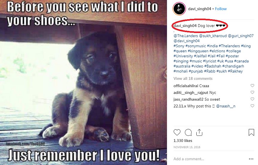 Davi Singh loves dogs (one of his Instagram posts)