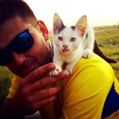 Kavin Dave loves cats