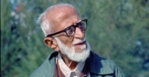 Salim Ali