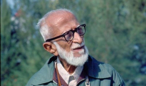 Salim Ali